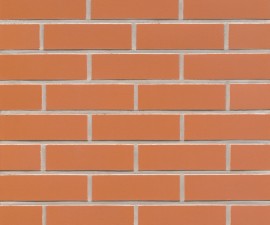 "Feldhaus Klinker" klinkerinės plytelės R220